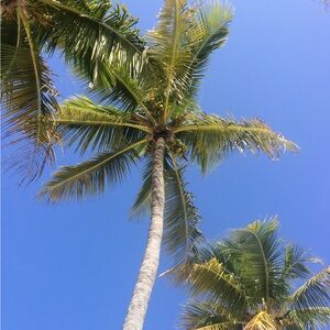 I rotated often if you like something pls make a offer on it before it’s gone.